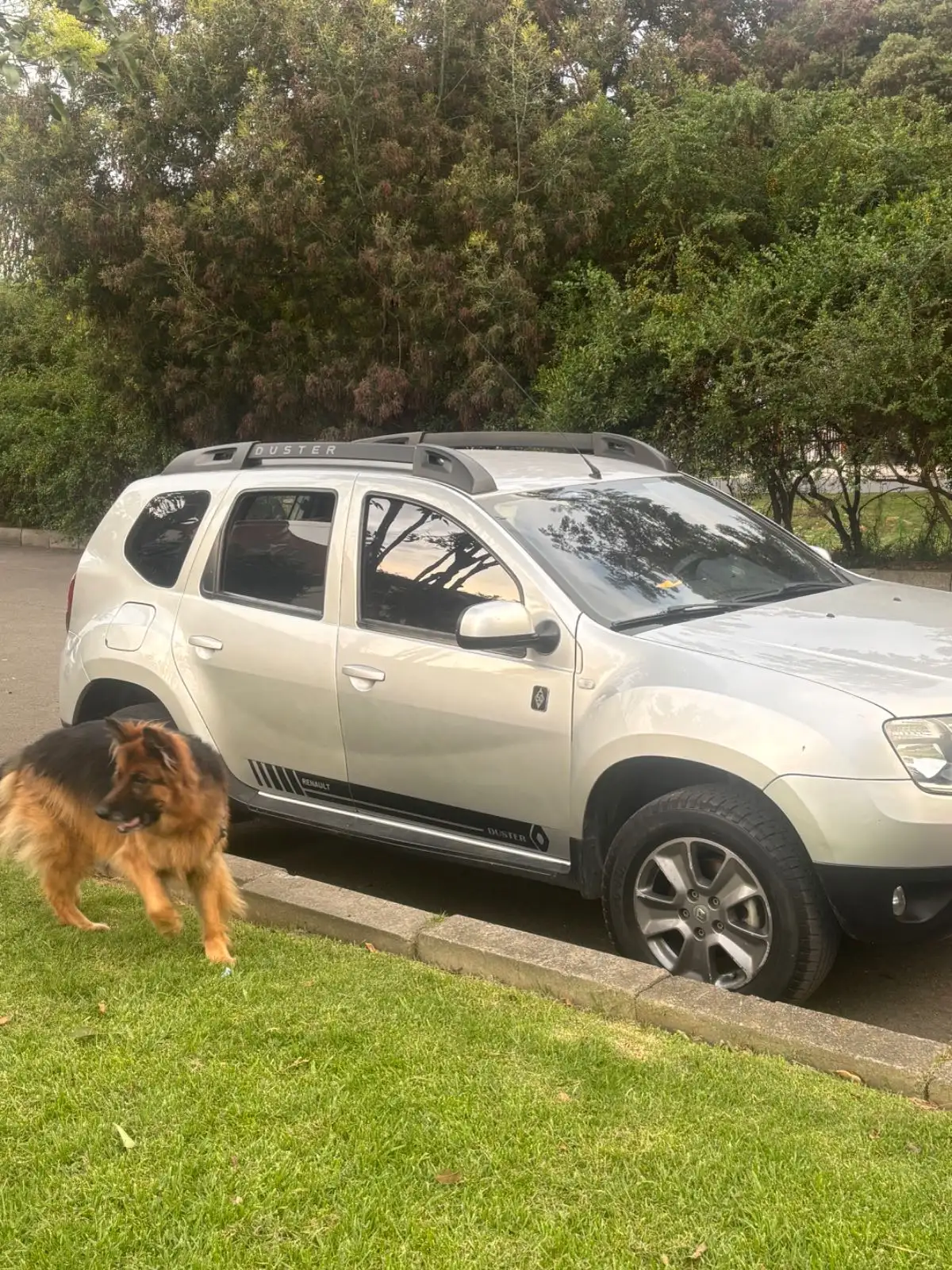 Renault 2020 foto 3